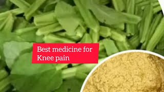 veldt Grape planePirandai Plant Chutney ಮಂಗರವಳ್ಳಿ ಚಟ್ನಿ Good Medicine for knee pain [upl. by Anowahs181]