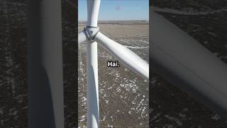 How Electricity is generated from Windmill electricity windmill facts shorts ytshortstrending [upl. by Jecho]