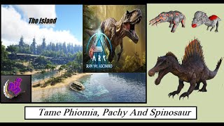 ARK Survival Ascended TAME PHIOMIA PACHY AND SPINOSAUR  MAP THE ISLAND  MHG 4K  33 [upl. by Ormsby]