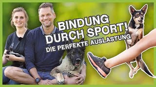 Perfekte Auslastung in 15 Minuten BINDUNG durch SPORT [upl. by Minnnie386]