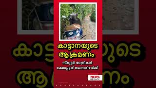 കാട്ടാനയുടെ ആക്രമണം [upl. by Marla]