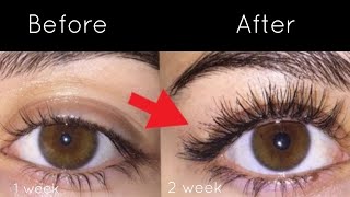 How to grow eyelashes and eyebrows naturally at home  thick and long eyelashes [upl. by Gnoud]