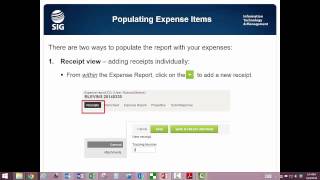 Expense Reports 2 Using Receipts View OpenAir [upl. by Ahsier]