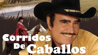 VICENTE FERNANDEZ CORRIDOS DE CABALLOS MIX  VICENTE FERNANDEZ LAS MEJORES RANCHERAS [upl. by Kanal226]