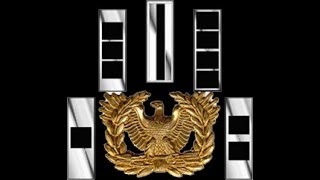 What is the difference between a Warrant Officer and Regular Commissioned Officer [upl. by Isolda58]