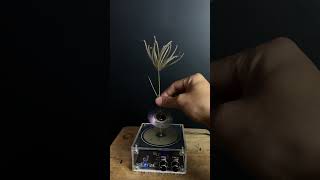 Tesla coil experiment ep20 experiment [upl. by Inad594]