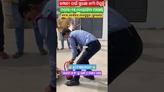 Industrial Security Guard Job Vacancy  15000 In Hand Salary reels securityguard odishajob job [upl. by Berthold]