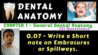 Dental Anat  Ch01  Q07  Embrasures or Spillways  Dr Prashant Sharma [upl. by Auberon110]