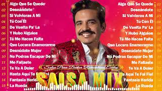 FRANKIE RUIZ MAELO RUIZ MARC ANTHONY EDDIE SANTIAGO💖SALSA ROMANTICA PARA BAILAR EXITOS 2024 [upl. by Ennagroeg]