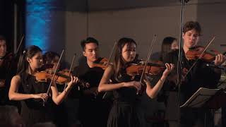 J Haydn  Symphony No60 Hob 160  Il Distratto [upl. by Nujra]