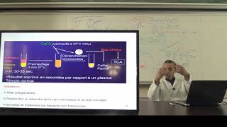 2ème annéeCours Hémostase 2  Coagulation  fibrinolyseVidéo 2partie 220192020 [upl. by Kilbride]