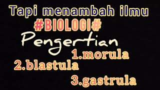 vlog tapi bermanfaatbiologi  pengertian Morula blastula gastrula [upl. by Addy682]