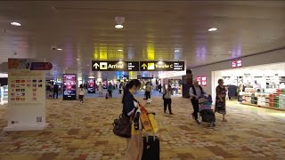 Singapore Airport Arrival Terminal 1 2024 SIN [upl. by Dlorej508]