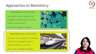 Approaches to biomimicry  Week 2  Part 4  Introduction to Biomimicry [upl. by Sigismond845]