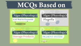 Algae MCQs  Cell Wall Pyrenoid Flagella Storage Products Plastid and Pigmentation [upl. by Siusan]