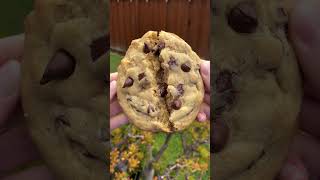 Crumbl Chocolate Chip Cookies COPYCAT recipe [upl. by Gignac]