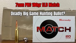 7mm PRC Gel Test Is The 180gr Match A Legitimate Big Game Hunting Bullet [upl. by Gordie]