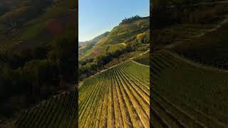 volo autunnale nelle LangheCastiglione Falletto con il mio DJI Avata 2 e la Osmo Action 5 dji [upl. by Wollis]