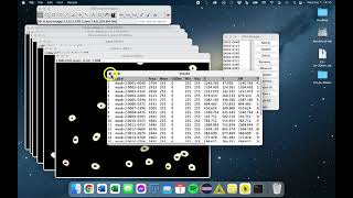 ImageJFiji  Segmentation Part 6 Measuring [upl. by Jerome]