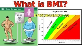 BMI Body Mass Index Introduction History and BMI Calculator [upl. by Nifled]