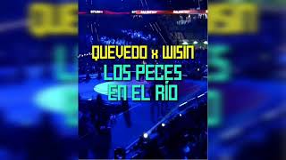 Los Peces En El Río  Quevedo Ft Wisin Jony Music Rmx [upl. by Oreste]