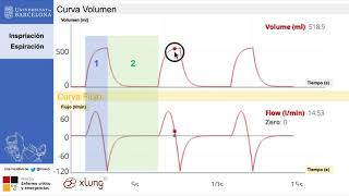 Principios de Ventilacion Mecanica Introduccion [upl. by Rashidi]