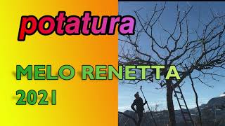 POTATURA Melo Renetta 2021 [upl. by Arjan342]