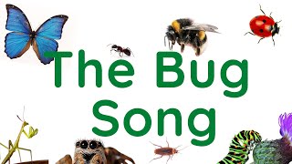 The Bug Song  a fun ESL song about bugs [upl. by Junna]