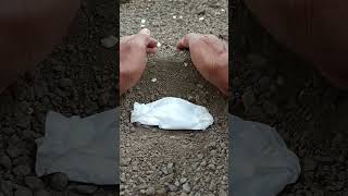 A funeral procession frog🐸🥀frog wildlife shorts viralvideo [upl. by Olaf]