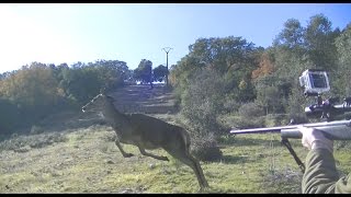 MONTERIAS EN TOLEDO 💥🐗🦌Jabalíes y Ciervas【INCREÍBLE】 [upl. by Muller]