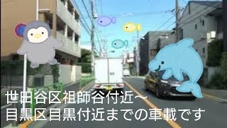 世田谷区祖師谷付近～目黒区目黒付近までの車載です🚙 [upl. by Lenej]