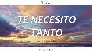 TE NECESITO TANTO  Emir Sensini Letra [upl. by Gnilyarg722]