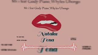 Mri feat Whyles Ubongo Gody Piano  Nataka tena Official Music Audio nataka tena [upl. by Nodnab48]