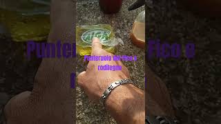 Utilizzo per tutti i parassiti del legno🌿🌿🌿 youtubevideo parassiti pesticidi [upl. by Lamaaj]