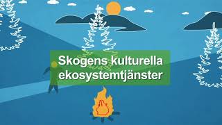 Skogens ekosystemtjänster och grön infrastruktur  Naturvårdsverket [upl. by Ellehcar25]