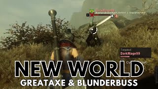 Greataxe  Blunderbuss PVP  New World Aeternum [upl. by Gusella]