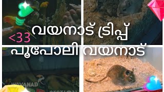 വയനാട് ട്രിപ്പ്‌ poopoli വയനാട് 😍😍 [upl. by Nonac]