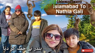 Islamabad To Nathia Gali  Nathia Gali Vlog  Muniza Sohail Vlogs [upl. by Latnahc]