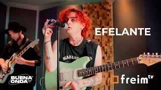 Efelante  Freim TV Sessions  Cap 07 [upl. by Einnel]