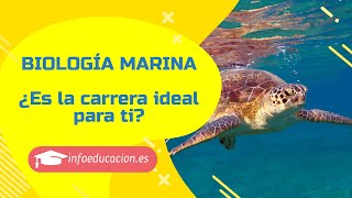 🎓 Estudiar biología marina ¿Es la carrera ideal para ti ➡️ TEST 10 preguntas 🔬 [upl. by Hniht]