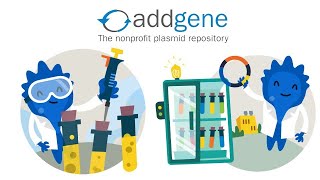 Addgene  Sequence Analysis  Restriction Enzymes  Nucleotide  Blast  Bioinformatics  Urdu [upl. by Akemahs372]