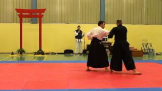 nihon taiho jutsu demonstration [upl. by Melamie]