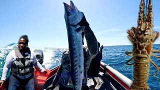 the moment of come to pull my first set of fish trap deep sea fishing monster barracuda [upl. by Brost]