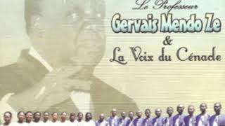 Sa Sainteté Jean Paul II Instrumentale  Pr Gervais Mendo Ze amp La Voix du Cénacle [upl. by Benjamin769]