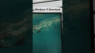 How to download windows 11 iso file trending youtube [upl. by Towney86]