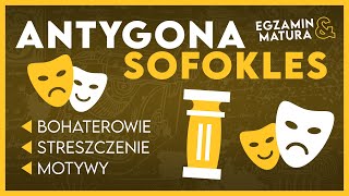 Streszczenie ANTYGONA 📖  KOMPLETNE OPRACOWANIE w 8 minut ✅️  Lektury na Maturę [upl. by Reste]