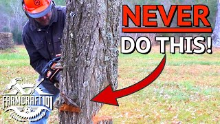 How To Chainsaw Like a Boss This Could Save Your Life [upl. by Forsta944]