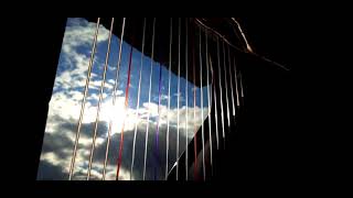 Tony Igy – Astronomia  Coffin Dance harp cover [upl. by Acemahs]