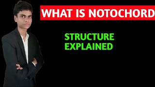 What is notochord  Notochord structure explained  Notochord [upl. by Machute]