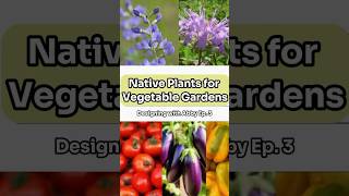 Native Plants for Your Vegetable Garden nativeplants growyourownfood homestead [upl. by Nivrek]